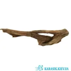 Коряга Натуральная в Аквариум  -  950 