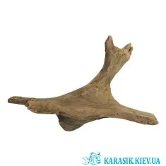 Коряга Натуральная в Аквариум  -  952