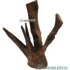 Коряга Натуральная в Аквариум  -  953 