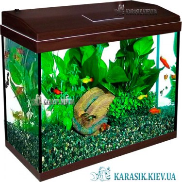 Аквариум с Крышкой A-100 LED прямой 77*30*49 (Венге)