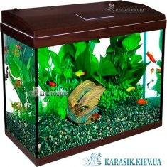 Аквариум с Крышкой A-140 LED прямой 80*35*54 (Венге) | Аквариум на 140 литров