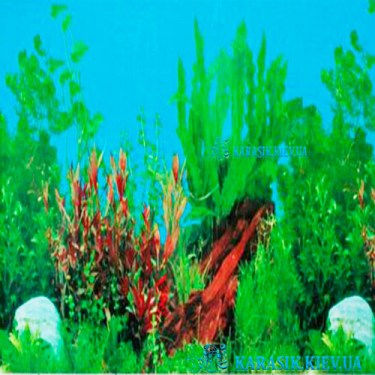 Аквариумный Фон - Травник 