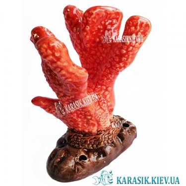 Коралл для аквариума 0895