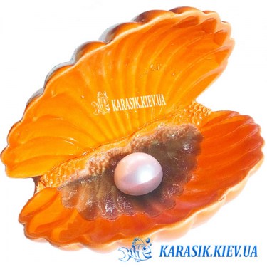 Морская раковина с жемчугом Оранжевая